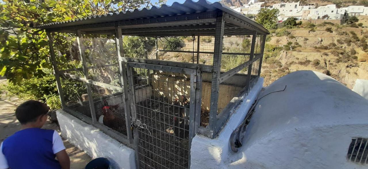 Cortijo Ferre, A Los Pies Del Castillo La Atalaya De Níjar מראה חיצוני תמונה