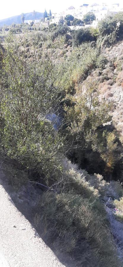 Cortijo Ferre, A Los Pies Del Castillo La Atalaya De Níjar מראה חיצוני תמונה