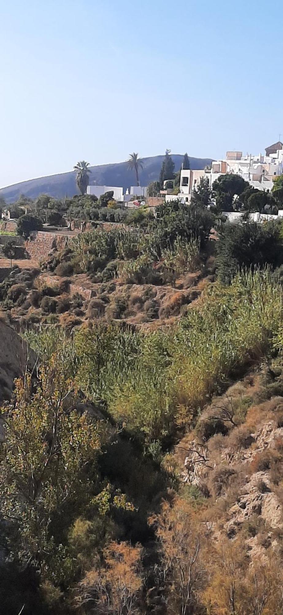 Cortijo Ferre, A Los Pies Del Castillo La Atalaya De Níjar מראה חיצוני תמונה